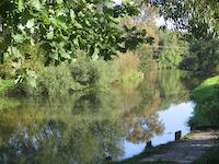 Flusslauf Rednitz bei Rednitzhembach